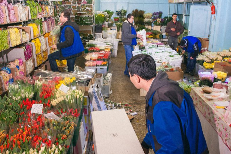 Цветы Рижский Рынок Интернет Магазин